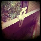 Cheap and Easy Holly Hangers