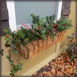 windowbox3