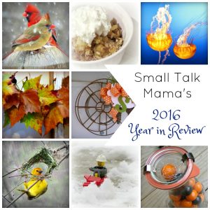 Look Back at 2016