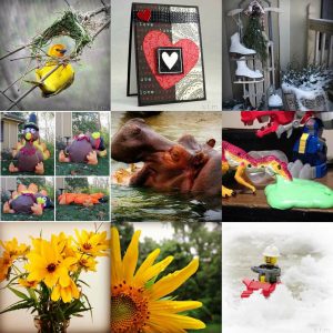 Twelve Favorite Photos And Instagram’s Best Nine