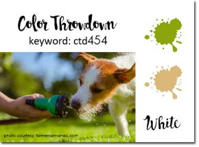 color throwdown