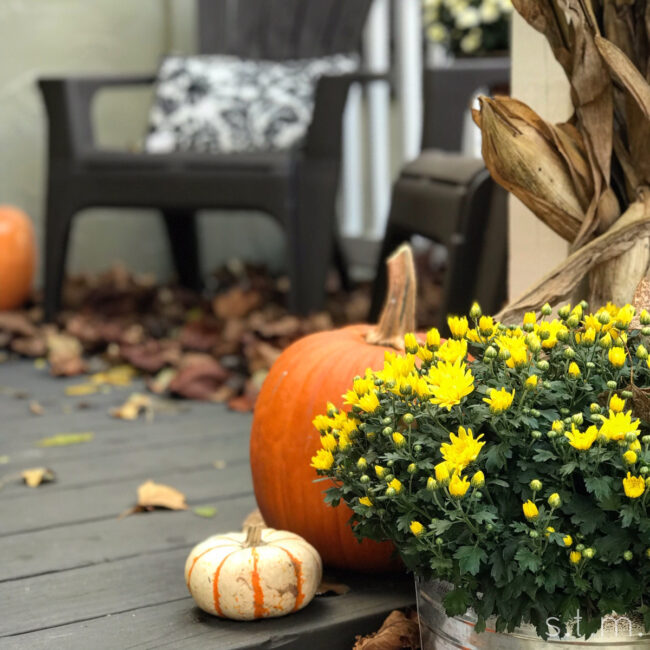 fall porch