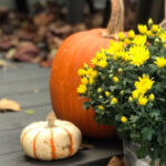 fall porch