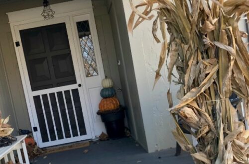 screen door