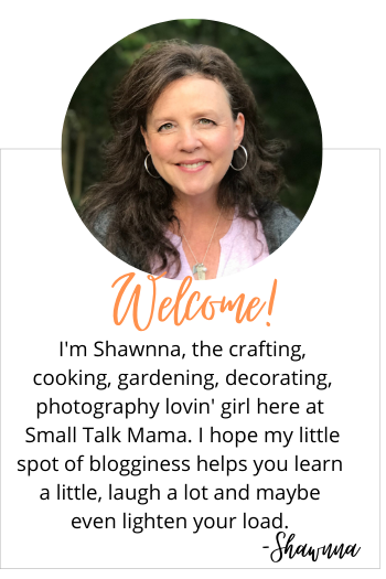 Welcome to Small Talk Mama